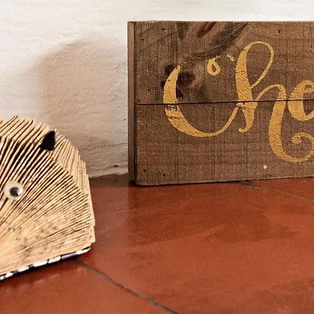 Apartment Toit Terrasse Centre Historique Ajaccio (Corsica)